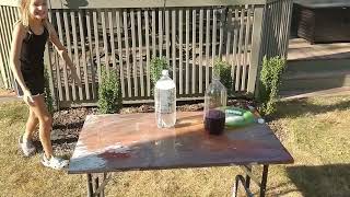 Mentos in Soda - Kid Science