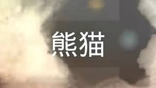 鄭俊弘——熊貓(歌詞)