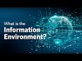 What is the Information Environment?