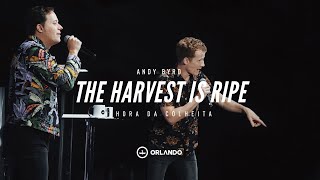 THE HARVEST IS RIPE - ANDY BIRD + ANDRÉ VALADÃO