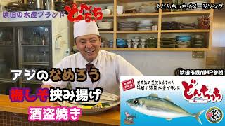 【え？どんちっち？】島根県で有名な鯖「どんちっち」を調理してみたら、脂が乗りすぎてて最高だった！