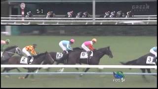 2013年 2歳新馬 / モンドシャルナ