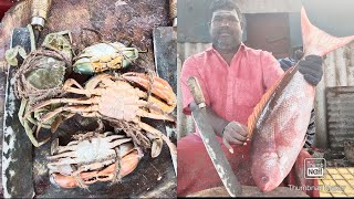 பழவேற்காடு நண்டு/ரஷ்நபர் fish cutting video/fishcuttingrs #fishcuttingrs #kasimedu #fish