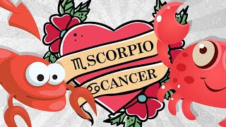 The Truth About Cancer ♋️ & Scorpio ♏️ Compatibility