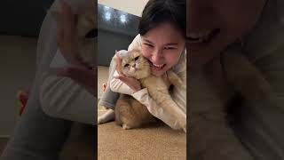 The kitten knows that the kiss is like it😅😅#cat #catsoftiktok #cute #funnyvideos #anime