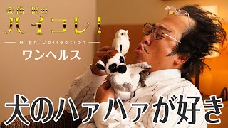 福岡県だより9月号_ワンヘルス【余箇健のハイコレ！】ロバート秋山さん出演#shorts