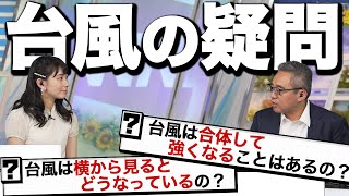 【独自解説】「台風は合体して強くなるの？」「台風を横から見るとどうなるの？」寄せられた台風の疑問を解説