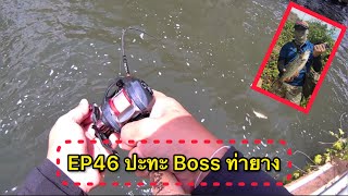 EP46 ปะทะ Boss ท่ายาง #ตกปลากระสูบ #กระสูบน้ำไหล #Hampala #กระสูบเพชรบุรี