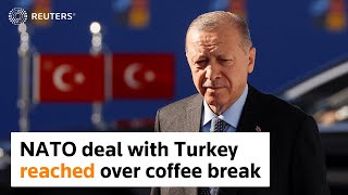 Deal with Turkey came over coffee break, Finland says