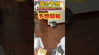 ネコに高松宮記念2024【予想】させてみた🐈昨秋はママコチャ🎯いよいよ開幕😸＃shorts＃かわいい＃コントとレイル＃当たる＃競馬