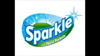 Sparkle Paper Towels, 24 Count