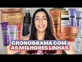 LINHA SIÀGE EUDORA: MONTEI UM CRONOGRAMA CAPILAR COMPLETO - Para todos os Cabelos | Larisse Gama