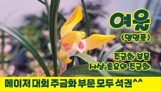 메이저 대회 주금화 부문 모두 석권한 명명품 여울 입니다.