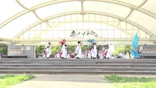 SAKADO WINDSさん 　竜KOI舞祭2015　『 舞祭2007　歓びの舞』