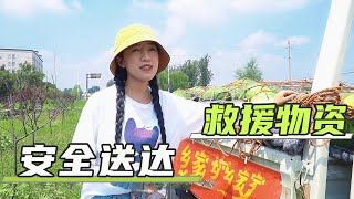 “瓜二代”女孩收完村里滞销的西瓜立刻赶往河南灾区，终于送到救援人手中【麦小登】