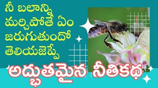 నీ బలాన్ని మర్చిపోతే ఏం జరుగుతుందో తెలియజెప్పే అద్భుతమైన నీతికథ neethi Katha