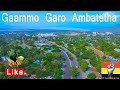 Gaammo Garo Ambatetha / Gaammotho giigiso