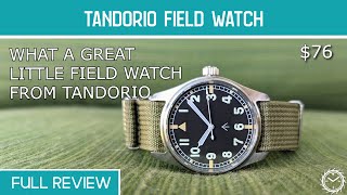 Tandorio Field Watch   full review