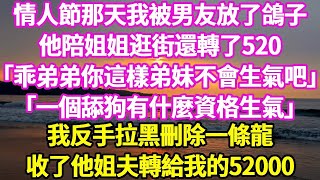 情人節那天我被男友放了鴿子 他陪姐姐逛街還轉了520 「乖弟弟你這樣弟妹不會生氣吧」 「一個舔狗有什麼資格生氣」 我反手拉黑刪除一條龍 收了他姐夫轉給我的52000#悠然書影#小新推文#情感故事 #為