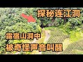 一行三人探秘连江洞，洞道太深累瘫在山洞深处，露宿山洞中被奇怪声音叫醒【户外行军蚁Explore adventure】