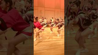 【春風阿波踊り2024|飛鳥連】壮観！吉野川【高円寺阿波おどり|徳島娯茶平姉妹連】