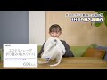 【ikea】我が家のイケア購入品紹介！そして掘り出し物にも出会う！【ももかチャンネル】