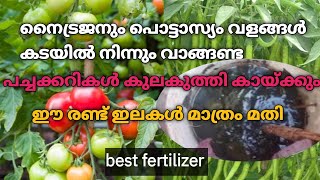 ഈ രണ്ടു ചെടികൾ പരിസരത്തുണ്ടങ്കിൽ നിർബന്ധമായും ഇതറിഞ്ഞിരിക്കണം tomatto plant best fertilizer