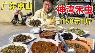 广东中山黑暗料理—神湾禾虫，150元一斤，清炒闷蒸钵仔4种做法，本地人当做宝 #麦总去哪吃