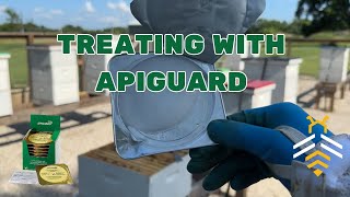 How to Treat with Apiguard