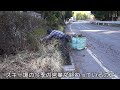 【庭猫】道路沿いの花壇の手入れ