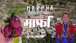 Marpha, Mustang: The Apple Capital of Nepal and Its Timeless Beauty