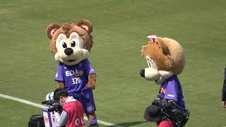 【試合前】両チーム選手入場前の🐻💜たち 2023.05.03 #Yogibo #WEリーグ 第16節 #三菱重工浦和レッズレディース 戦