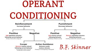 Operant conditioning in learning (psychology)