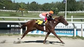 230429 c01 - MAGNIFIC TOUCH - HIPODROMO LAS PIEDRAS