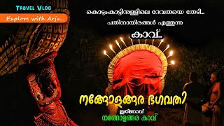 കാട്ടിനുള്ളിലെ ദൈവത്തെ തേടി പതിനായിരങ്ങൾ എത്തുന്ന കാവ്..🥰❤️|നങ്ങോളങ്ങര ഭഗവതി Nangolangara Bhagavathi