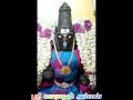 சர்வ காரிய சித்தி தரும் ஸ்ரீ வாராஹி அம்மன்