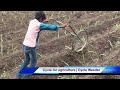 cycle for agriculture cycle weeder