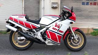 RZV500R入荷　YZR500レプリカ　YAMAHA RZV500R  V4  国内物　アルミフレーム　ノーマル　ナイトロンリアサス　距離浅　低走行　車検あり　極上車　エリア47  AREA47