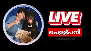 ചെള്ളുപനി - Pet owners ൻ്റെ സംശയങ്ങൾ@Nandaspets