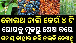 Odia Gk Question And Answer | General Knowledge | Intresting Gk | Gk In Odia | Odia Gk Quiz