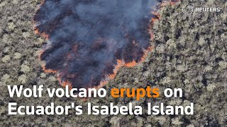 Wolf volcano erupts on Ecuador's Isabela Island