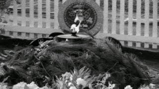 JFK's eternal flame still burns