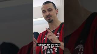 사자왕 즐라탄의 간지