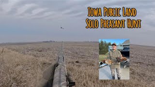 Iowa Public Land Solo Pheasant Hunt