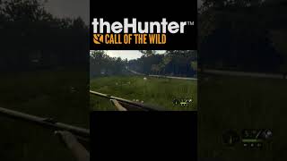 怒ったブタの突進【theHunter】 #Shorts