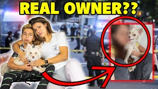 Did We Find The OWNER of The MISSING PUPPY?? **BIG INVESTIGATION** | The Royalty Family