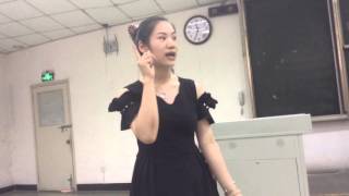 2015.8.23四川大学华文教师培训课堂教学演示part2