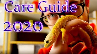 Leopard Gecko Complete Care Guide 2020