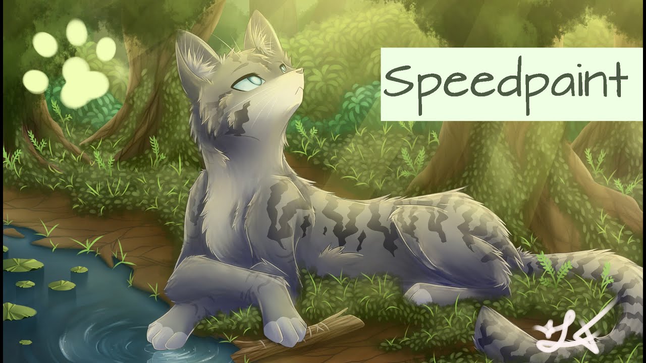 Warriors Cats Jayfeather