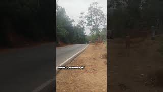 Nwkrtc mass entry 🔥|nwkrtc bus| #massentry #nwkrtc #ksrtc #nwkrtc_bus #ksrtc_bus #mangalore #hubli